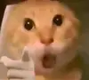 着魔的矮人