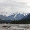 網w
