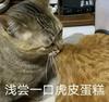 抬头仰望着满天星河