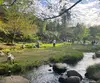 黄豆酱真好吃