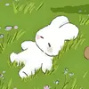橙色预警998