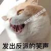 近柿子