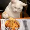 上将华雄可斩潘凤