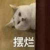 喜欢clearlove明凯