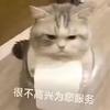 柳铁蛋