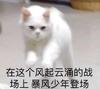 自动重合闸