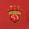 2026中国得冠