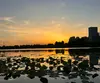 游客_pe9kan40
