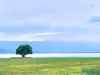 世界名宿胡乱吹