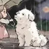 北京那不勒斯小蔡9