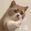 柴小贱
