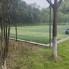 包子555