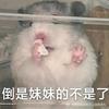 渡过错过