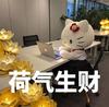 江门体育场低配内马尔