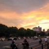 左转右转223