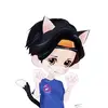 梦见猫o