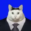 wyn_cn