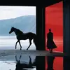 佛山卢顿小杨9