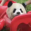 核24武7磊
