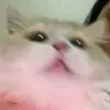 KatherineW