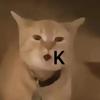 Rkoich