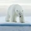 唐山防守型中场小顾