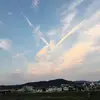 哈基蛛