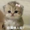 不踢前锋嘛