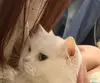 Xxxsone