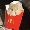 朝阳中的密涅瓦