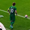 国安10号柏杨