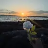 津门虎一虎当先