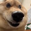我讨厌姆巴佩