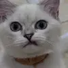 马竞灬灬灬