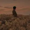 旧物藏于春