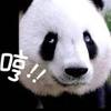成都北京工人体育场小邓