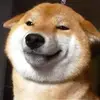 折木木