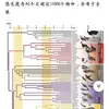 德甲第一球星维尔茨