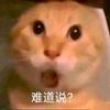 啊祖收手8
