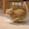 孙涛felixwmr