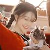 外向小罗