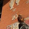 Trentaa66-