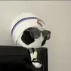 成都冲出亚洲
