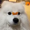 啦啦哈-