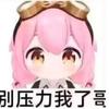 述鲸