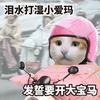 小冯982