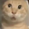山东梅斯小冯