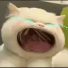 火星蒙扎小陈7