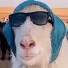 吐鲁番马佩三色城球场小田