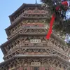 球迷20270343
